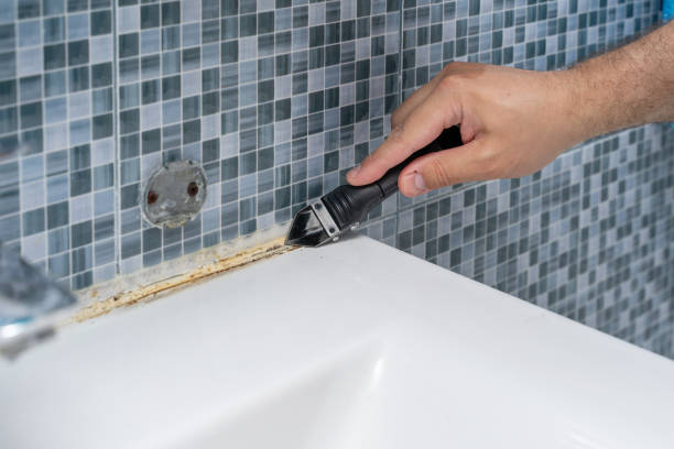 Best Toxic Mold Removal  in Childersburg, AL