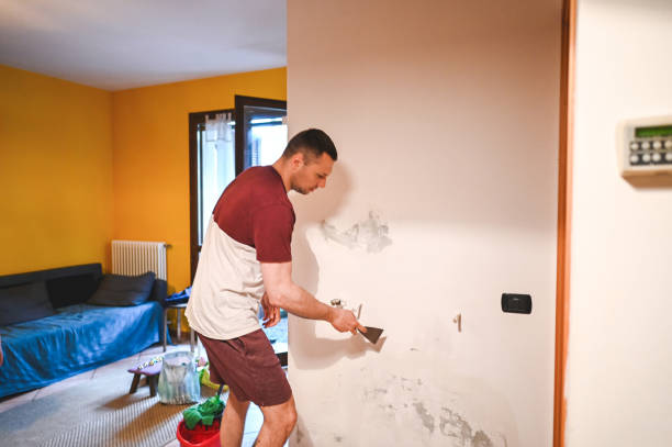 Best Mold Damage Repair  in Childersburg, AL